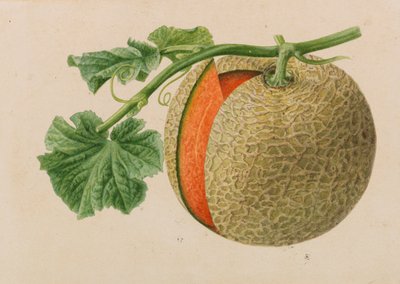 Originales de publicaciones de horticultura y arboricultura, 1878-1881 de Pieter Joseph de Pannemaeker