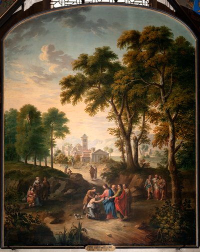 Curación del ciego de nacimiento de Pieter Norbert van Reysschoot