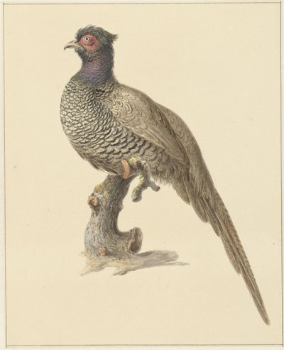 Caza del faisán de Pieter Pietersz. Barbiers