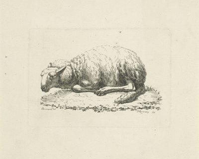 ovejas mentirosas de Pieter Roosing