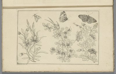 Tres ramas de flores y tres mariposas
Flores e insectos chinos (título de la serie) de Pieter Schenk (II)