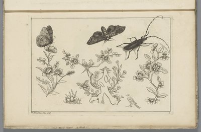 Tres ramas de flores con pájaros, mariposas y un insecto
Flores e insectos chinos (título de la serie) de Pieter Schenk (II)