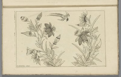 Dos arbustos de flores y una golondrina
Flores y pájaros chinos (título de la serie) de Pieter Schenk (II)