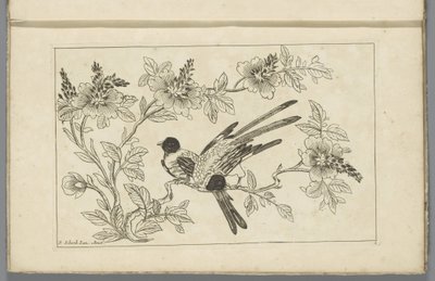 Dos pájaros sobre una rama en flor
Flores y pájaros chinos (título de la serie) de Pieter Schenk (II)