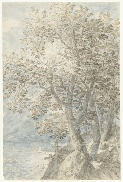 Árboles en la pared de roca escarpada de Pieter Stevens (I)