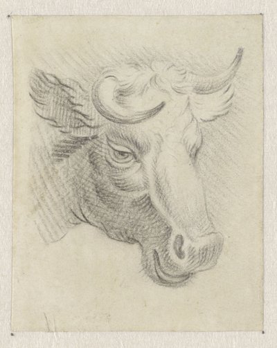 Cabeza de vaca de Pieter de Goeje