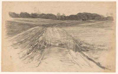 Camino rural a través del campo abierto de Pieter de Josselin