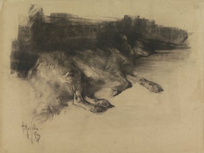 Perro recostado y dormido de Pieter de Josselin