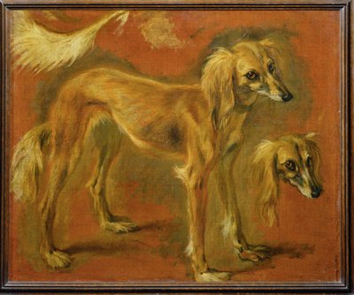 Un galgo (pintura sobre lienzo) de Pieter or Peter Boel