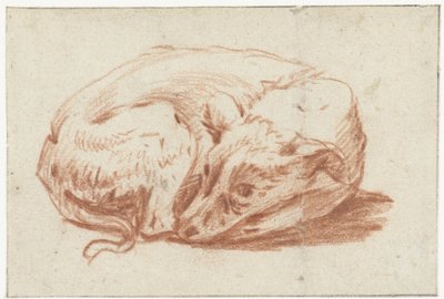 Perro reclinado de Pieter van Bloemen