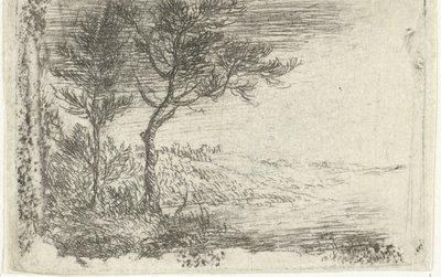 Alemán: Paisaje con dos árboles de Pieter van Laer