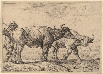 Dos búfalos y un pastor de Pieter van Laer
