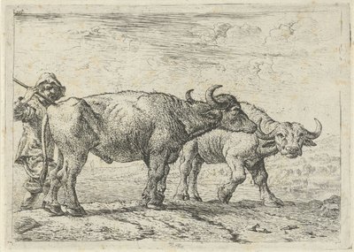 Dos búfalos y un pastor de Pieter van Laer