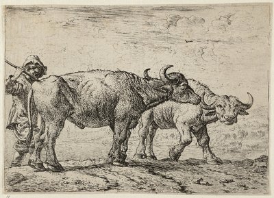 Dos búfalos y un pastor de Pieter van Laer