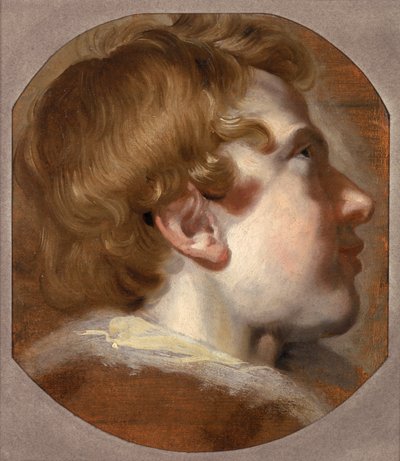 Cabeza de un Niño Joven, c.1620 de Pieter van Mol