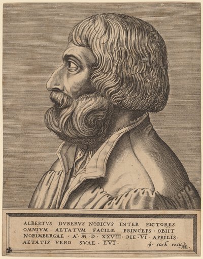 Albrecht Durer de Pieter van der Heyden