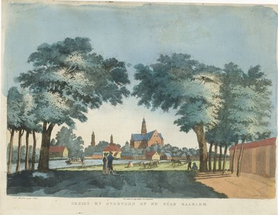 Vista de Haarlem desde Overveen
Vista de Haarlem desde Overveen (título en el objeto) de Pieter van der Meulen
