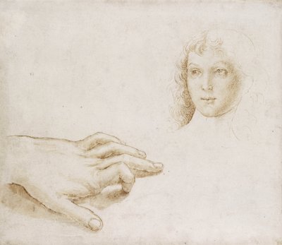 Estudios de una cabeza y una mano de Pietro (circle of) Perugino