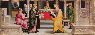 La Presentación en el Templo, c.1510 (temple sobre tabla) de Pietro (follower of) Perugino