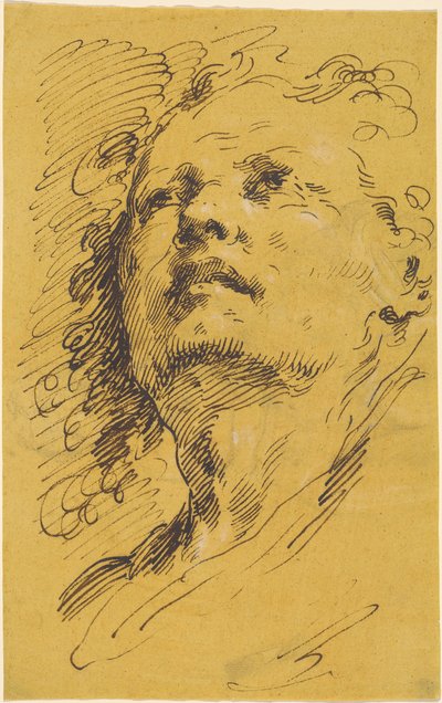 Cabeza de un hombre mirando hacia arriba de Pietro Antonio Novelli