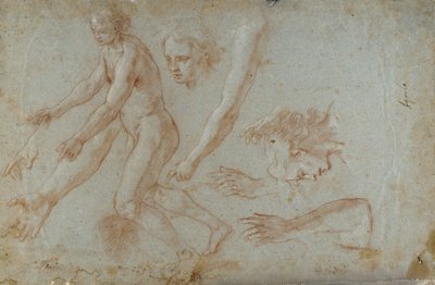 Dibujo de Pietro Aquila