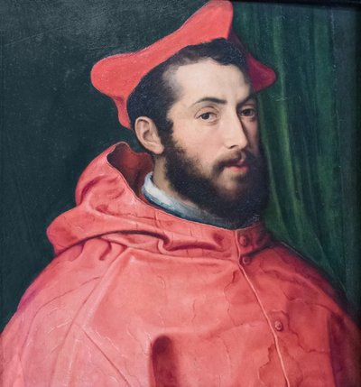 Cardenal Alessandro Farnese de Pietro Bonaccorsi