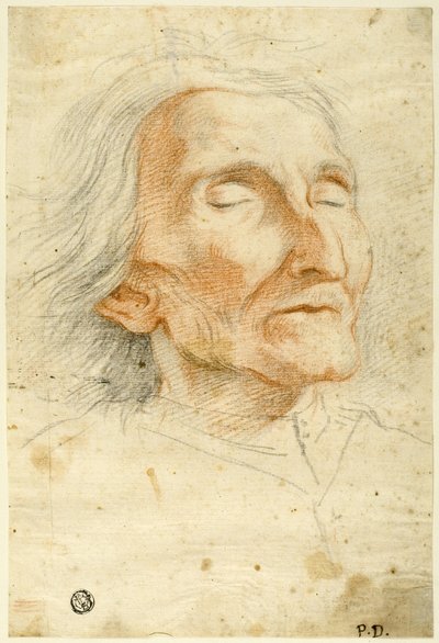 Cara de un anciano con los ojos cerrados de Pietro Dandini