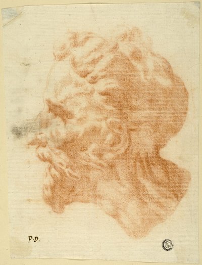 Cabeza de hombre barbudo de perfil a la izquierda de Pietro Dandini