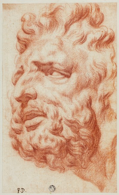 Jefe de Laocoonte de Pietro Dandini