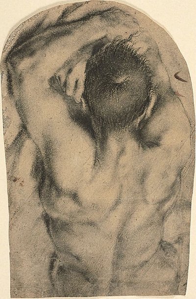 Desnudo masculino yacente de medio cuerpo visto de espaldas, c.1590 (carboncillo, toques de óleo y trazas de blanco de plomo sobre papel) de Pietro Faccini