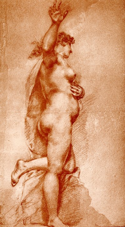 Desnudo femenino de Pietro Liberi