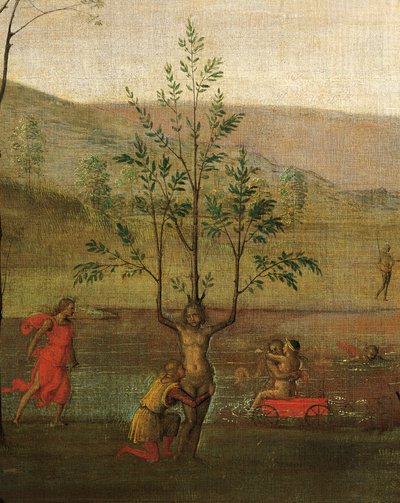 Mujer-árbol, (detalle) de Lucha entre el Amor y la Castidad de Pietro Perugino