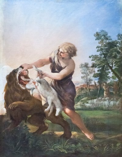 David matando al león (óleo sobre lienzo) de Pietro da (1596 1669) Cortona