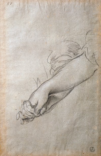 Manos y brazos, estudio para el fresco El Acortonaje Dorado de Pietro da Cortona