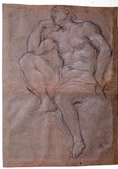 Joven, estudio de Pietro da Cortona