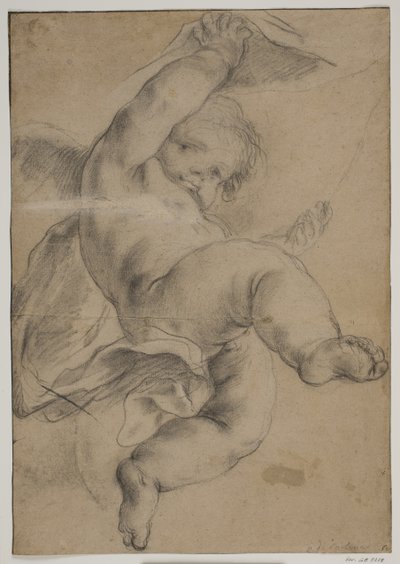 Putto volador levantando una cortina de Pietro da Cortona