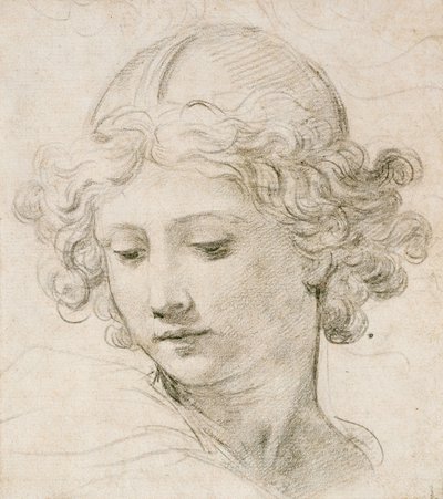 Cabeza de un ángel, mirando hacia abajo a la izquierda de Pietro da Cortona
