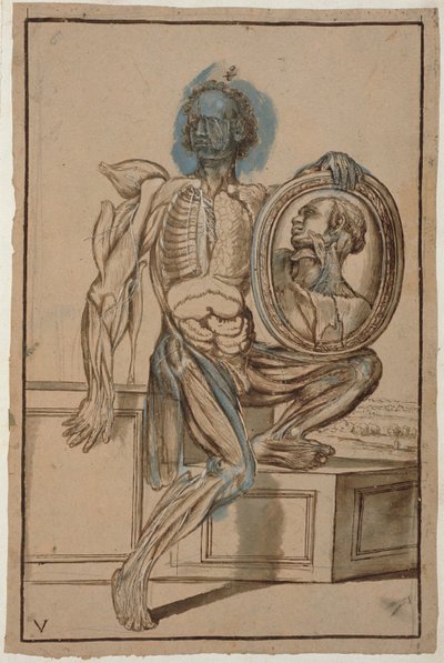 Ms Hunter 653 Placa V Dibujo anatómico, c.1610 de Pietro da Cortona