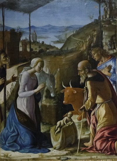 Adoración de los pastores, c.1493-96 (temple sobre tabla) de Pietro di Francesco degli Orioli