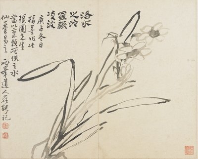 Paisajes, flores y pájaros: Narciso, Dinastía Qing de Luo Ping