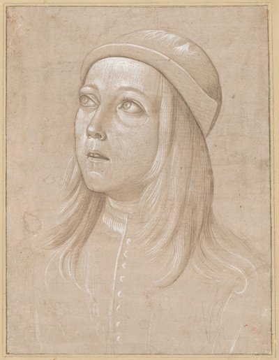 Cabeza de un joven mirando hacia arriba de Pinturicchio