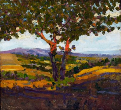 El Saludo del Sol de Plinio Nomellini