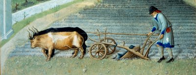 Marzo: nieve. Trabajo agrícola, campesino arando un campo. (detalle) de Pol de Limbourg