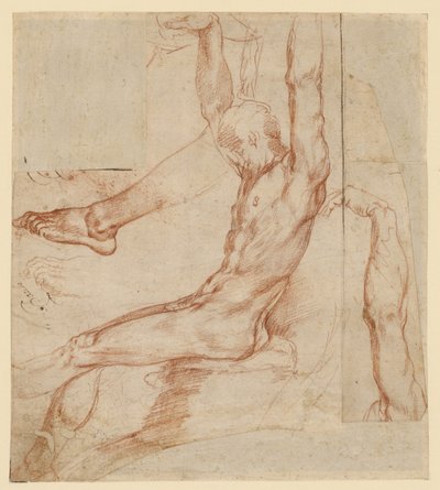 Estudio de un hombre con varios bocetos (anverso); Estudio de la pierna drapeada de un hombre (reverso) de Polidoro da Caravaggio (Polidoro Caldara)