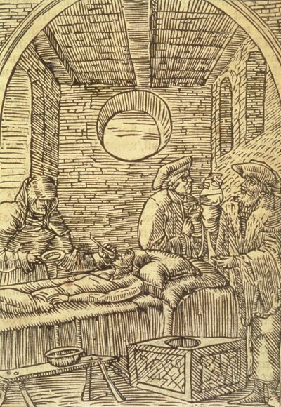 Administración de hierbas medicinales, 1534 de Polish School