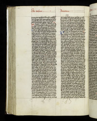 Página 300 del Libro 20 de 