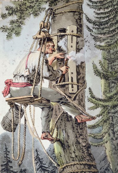 Campesino de la provincia de Podlaskie en Polonia recolectando miel, principios del siglo XIX de Polish School
