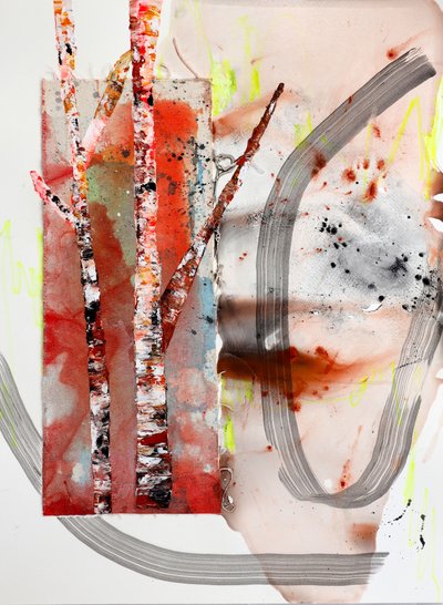 Resumen de «Bosque de abedules» de Poonam Choudhary