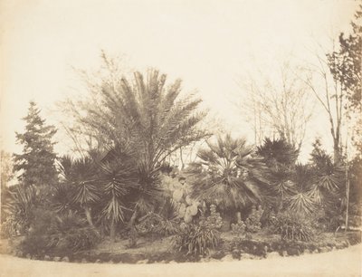 Jardín Pinciano, Roma, 1853-56 de Possibly by Jane Martha St. John.