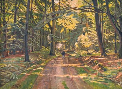 Camino forestal en Dyrnæs de Poul S. Christiansen